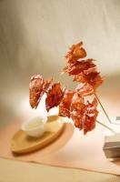 肉紙肉乾(蒜味)